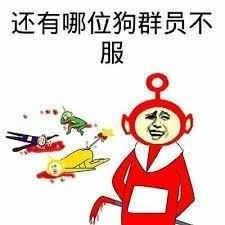 群里怼管理员系列表情包-嗨次元